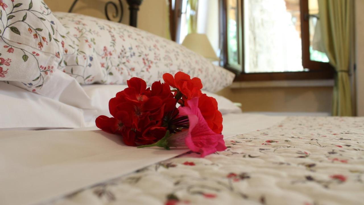 B&B Lo Gnomo Pennapiedimonte Zewnętrze zdjęcie